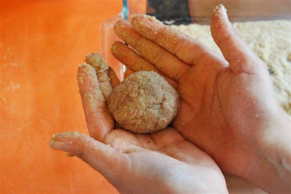 Kotlet ~ Persian Cutlet