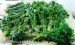 Persian Frozen Herbs